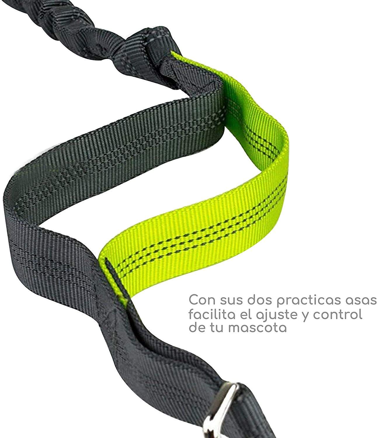 Dog Running Waist Harness with Leashes Handless Dog Leash with Adjustable Belt, Double Bungee Design - Perfect for Running โ image 4
