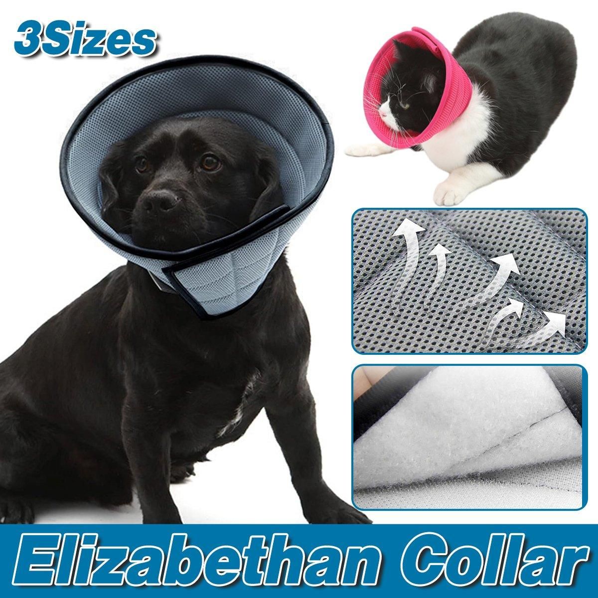 Elizabethan Collar Anti Licking Biting Pet Collar for Cats and Dogs Recovery Use - Rose Red-Size2 — image 2