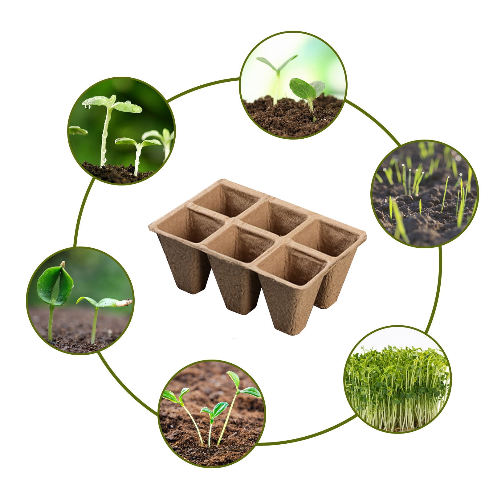 30 Cells Peat Pots Seed Starter Trays 5 Packs Biodegradable Seedling Pots Germination Trays Organic Plant Starter Kit B — image 6