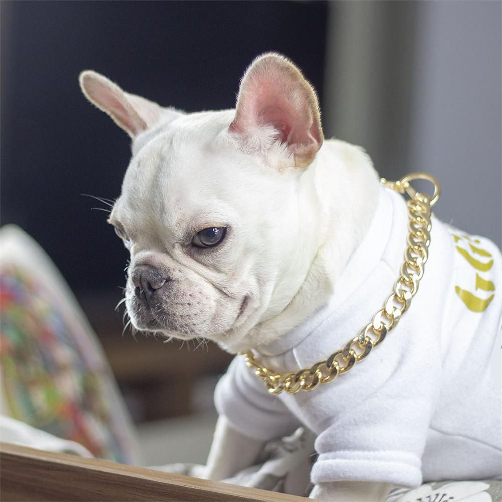 Dog Chain Pet Dog Metal Gold Collar Necklace Pet Jewelry Accessories for Four Seasons — image 5