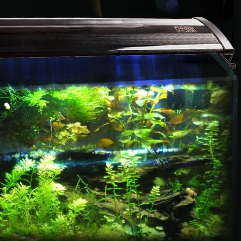 120cm Aquarium Light Lighting Full Spectrum Aqua Plant Fish Tank Bar LED Lamp โ image 4