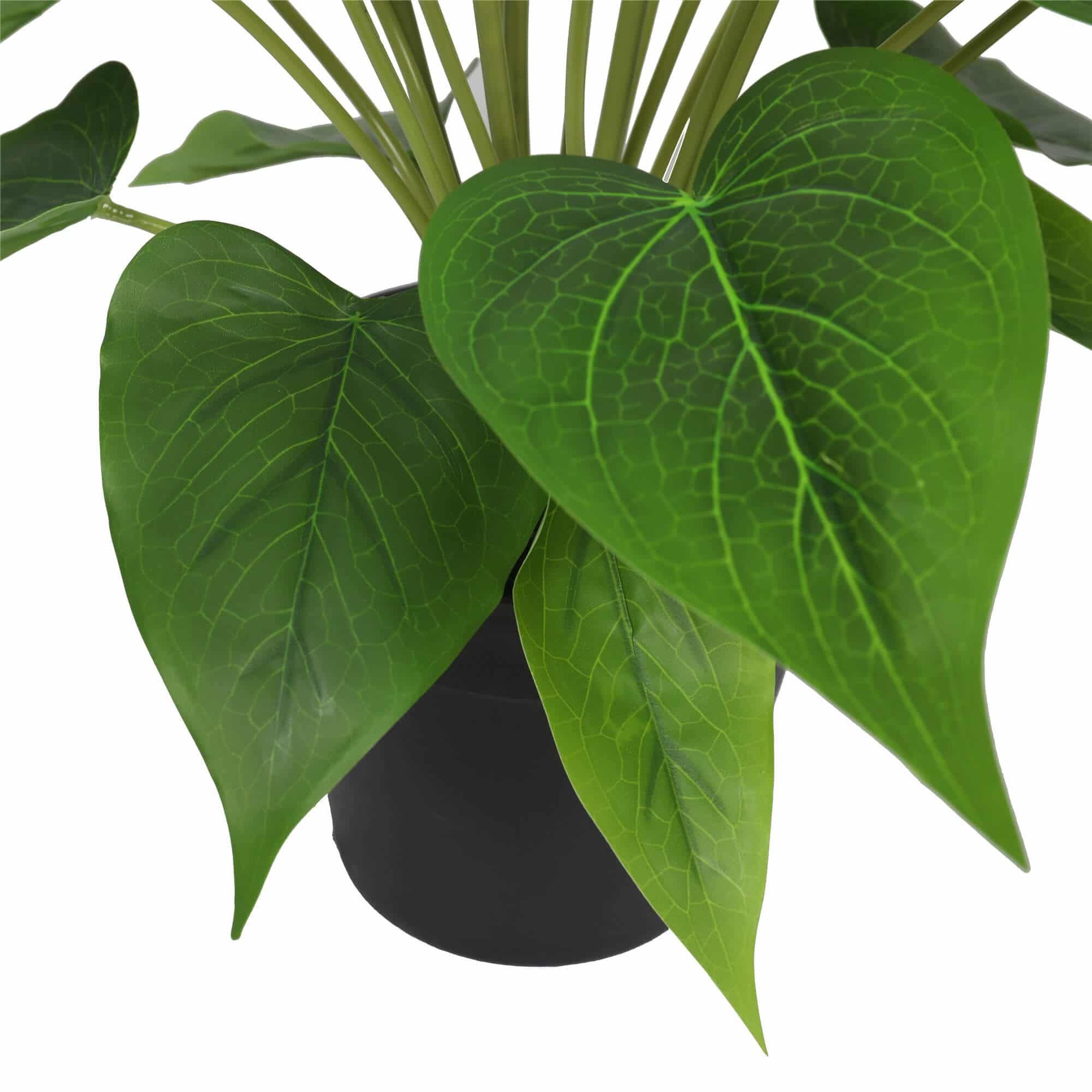 Artificial Flowering White & Orange Peace Lily / Calla Lily Plant 50cm โ image 4