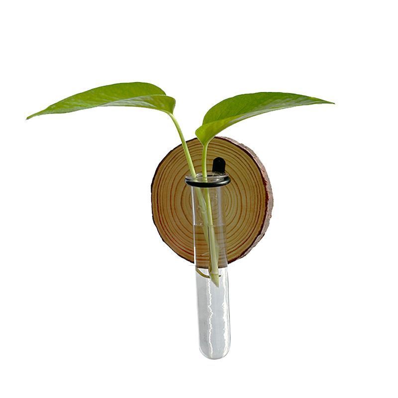 Creative Test Tube Hydroponic Vase-Set of 6 โ image 5