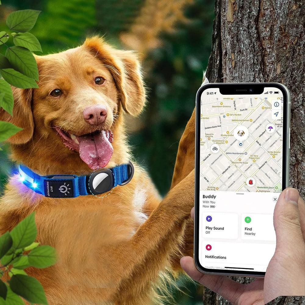 Luminous LED Pet Dog Collar Light-up USB Rechargeable Dog Collar Blue - L — image 3