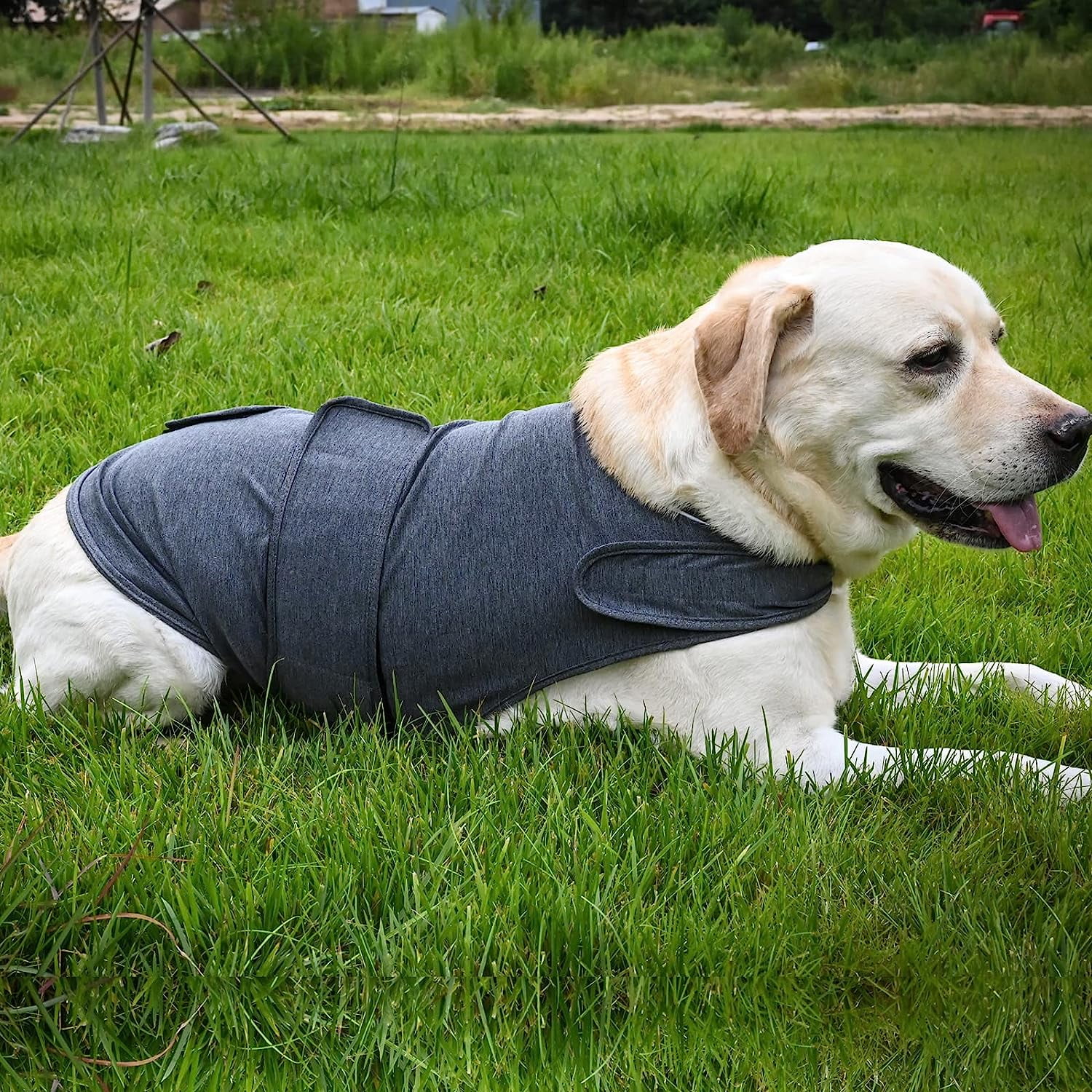 Dog Jacket, Skin-Friendly Dog Calming Vest - Dog Shirt for Thunder, Fireworks and Separation - Keep Pet Calm Without Medicine & Training, Anti Anxiety Vest for — image 3