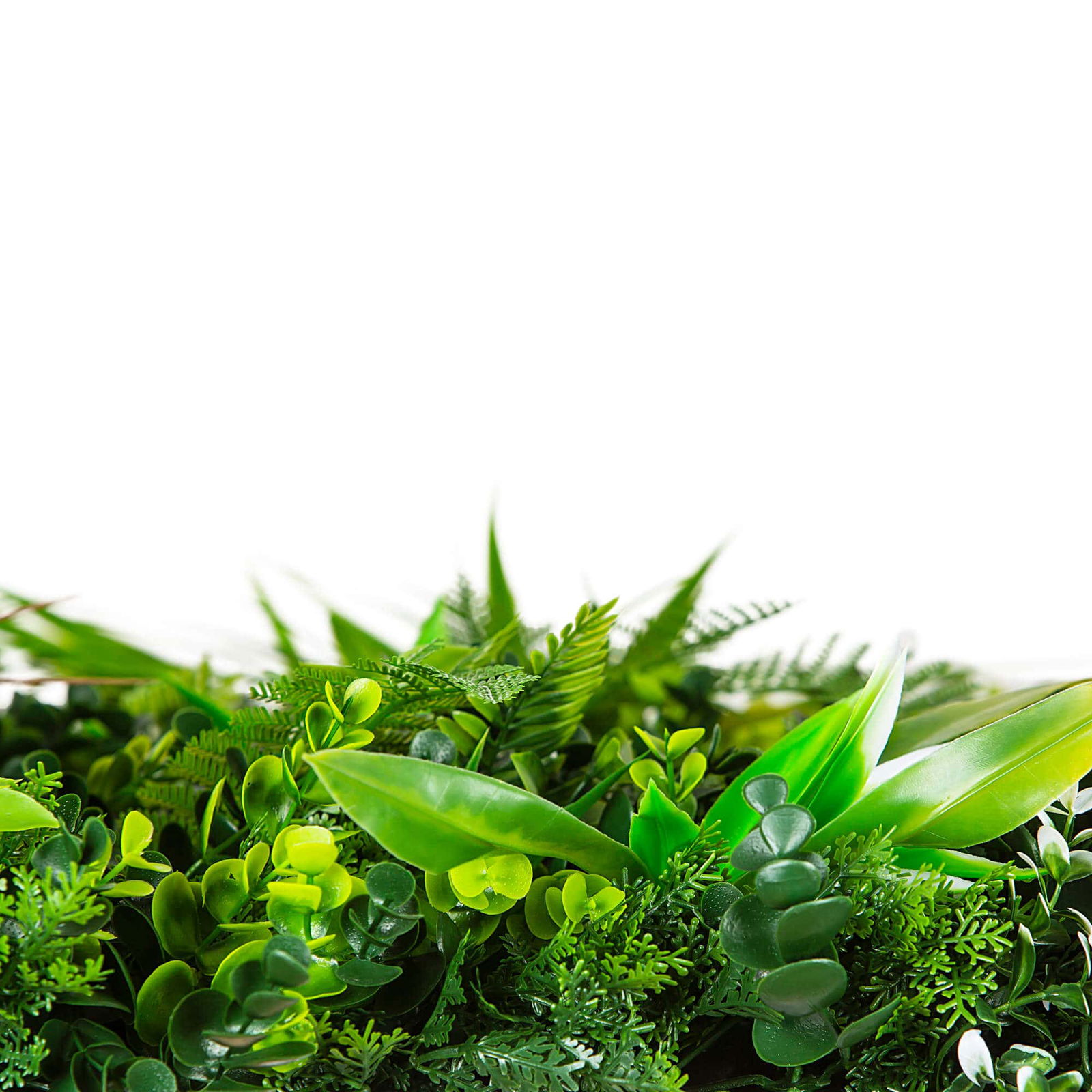 Wild Tropics Vertical Garden / Green Wall UV Resistant 100cm X 100cm โ image 5
