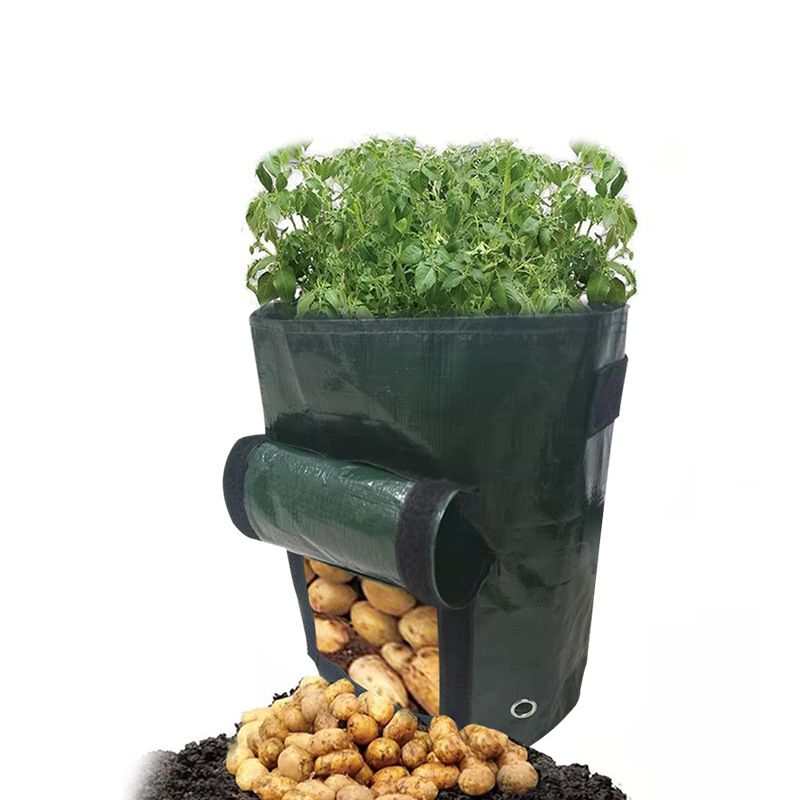 2 PCS Potato Growing Bags 23 x 28cm – Durable PE Planting Containers with Side Harvest Window for Vegetables, Tomatoes and Home Garden Use — image 4