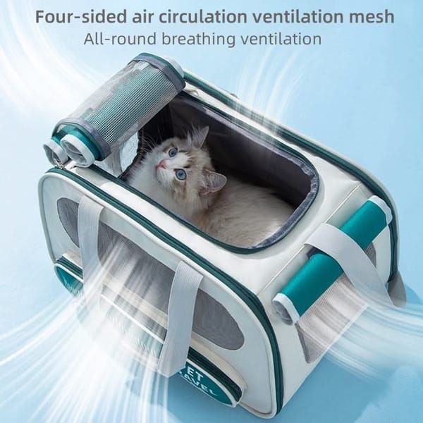 Large‑Capacity Pet Travel Carrier Bag, Portable Breathable Cat Dog Carrier, Crossbody Pet Handbag for Travel & Car Trips, Teal‑Green Pet Transport Bag — image 2