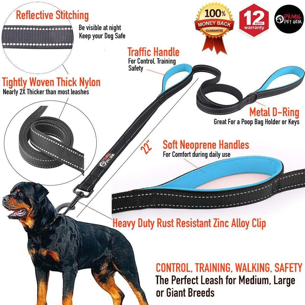 Reflective Dog Leash with Dual Handles - Anti-Shock Nylon Pet Lead for Large Medium Dogs - No-Pull Training Leash - Orange 1.5m โ image 2