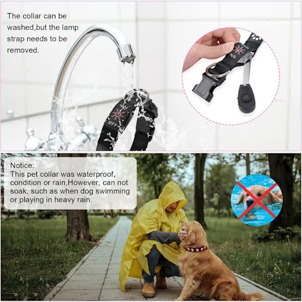 LED Luminous Dog Collar, Rechargeable and Waterproof Dog Collar, Adjustable Collar with 7 Light Modes (Colorful-M) — image 4