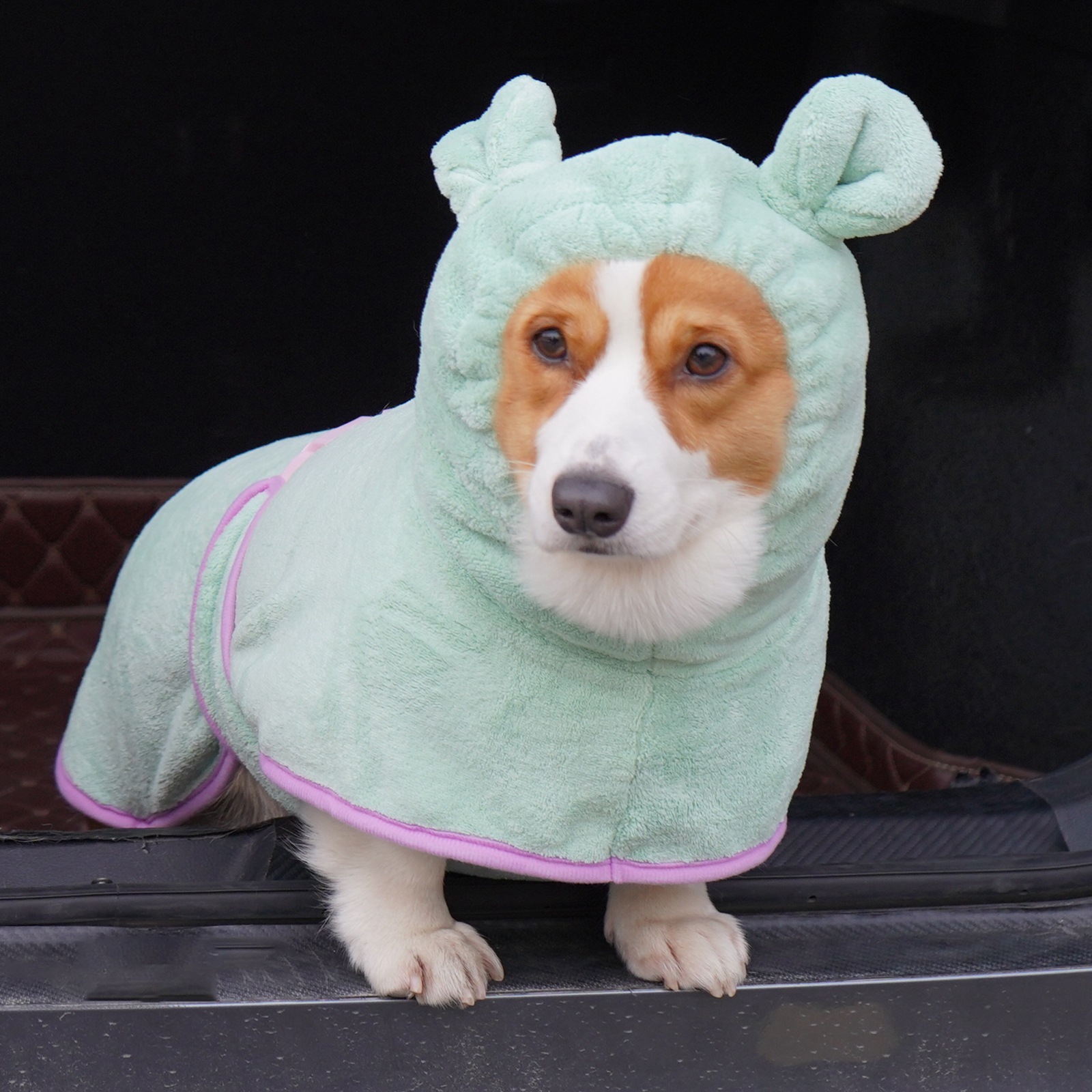 Green Hooded Dog Bathrobe - Super Absorbent, Adjustable Fit, Cozy Pet Towel (Size: M) — image 3