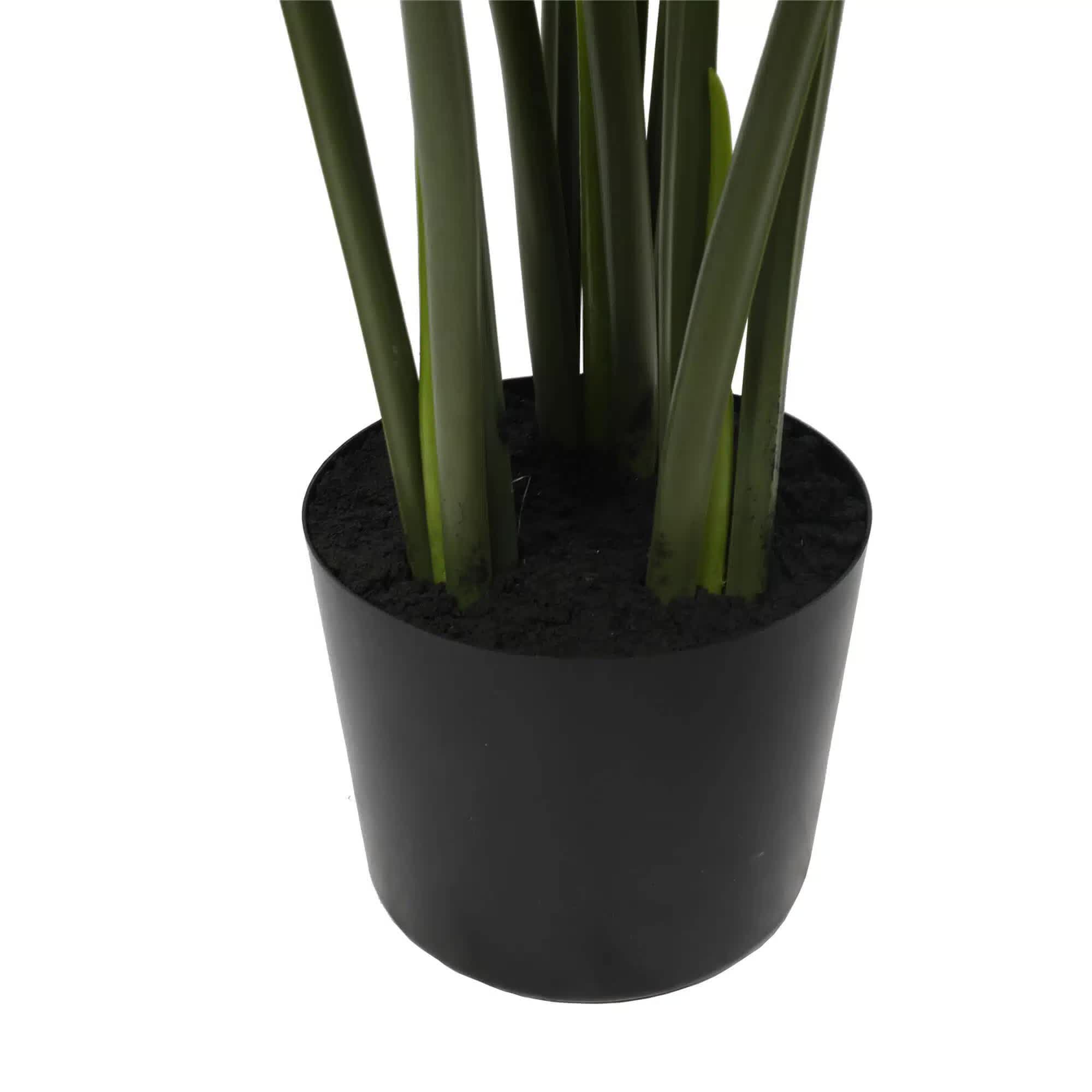 Split Philodendron Monstera Deliciosa (Split Leaf) 120cm โ image 4