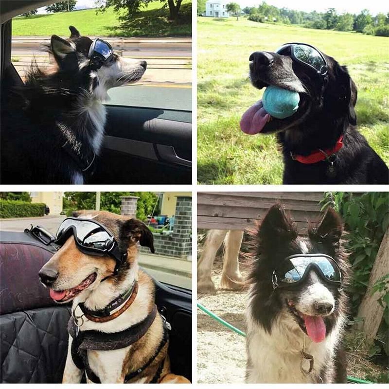Fashion Pet Dog Doggles Goggles Uv Sunglasses Sun Glasses Eye Wear Protection — image 6