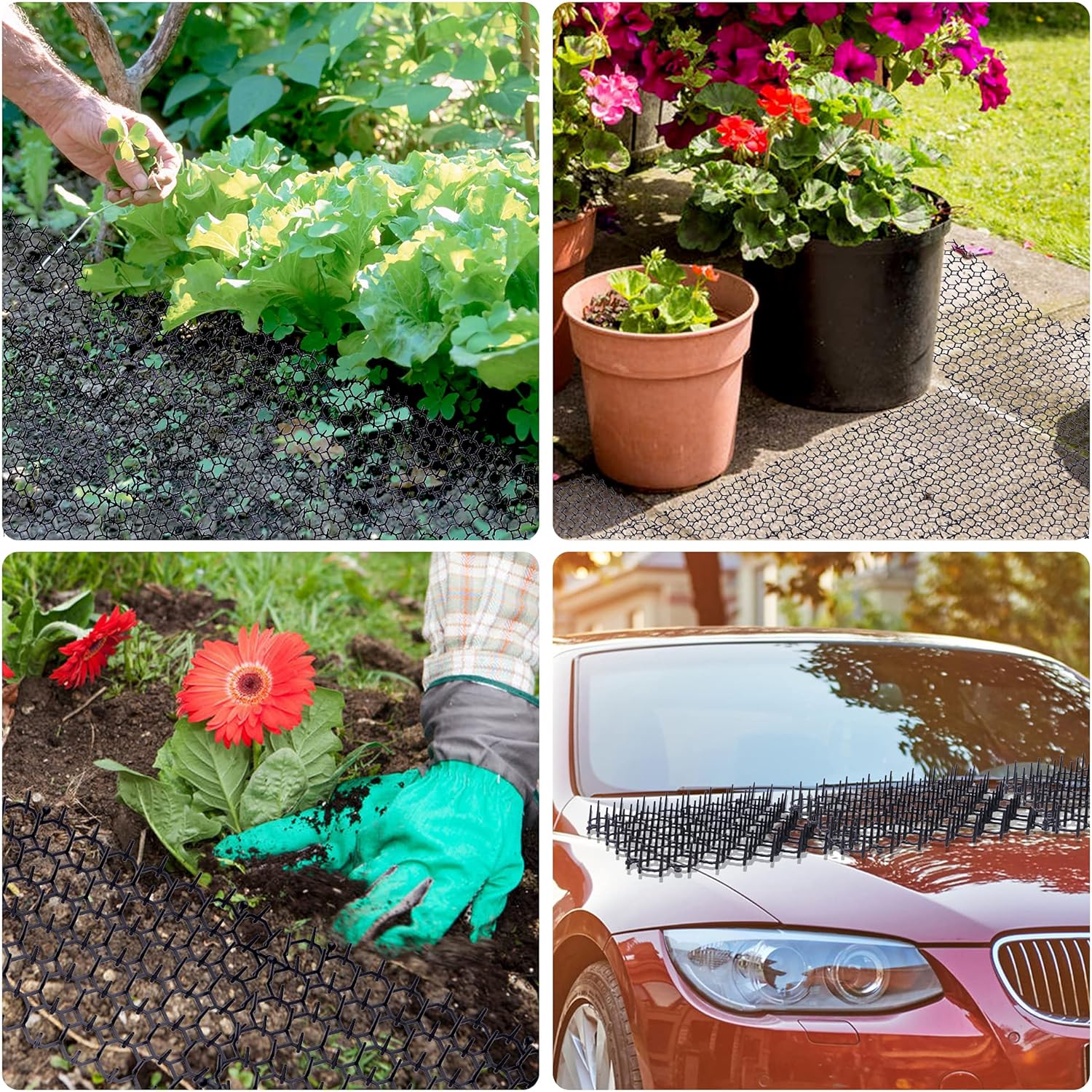 12 pcs 15 cm x 20 cm Spike Mat, Cat Scare with Spikes, Dog Mat, Plastic Net for Animals โ image 4