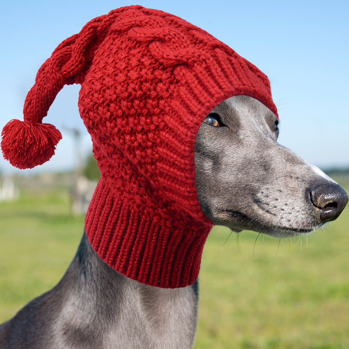 Size M Red Whimsical Knit Dog Hat with Pom-Pom - Cozy Winter Pet Beanie & Snood — image 5