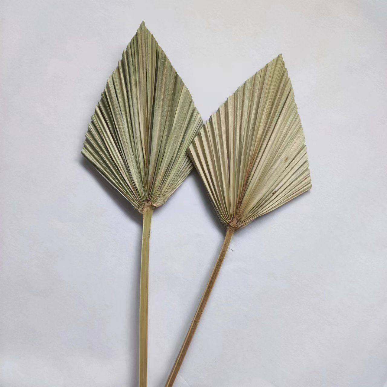 4 Pieces Natural Dried Palm Spears Small Dried Palm Fans for Flower Bouquet Boho Wedding Home Party Kitchen Vase Farmhouse — image 5