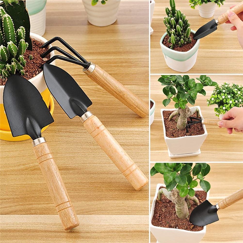 10 Pcs Gardening Bonsai Tools Set Succulent Garden Hand Tool Kit Plant Tool with Shovels Rakes Fork Scissor Cleaning Brush — image 3