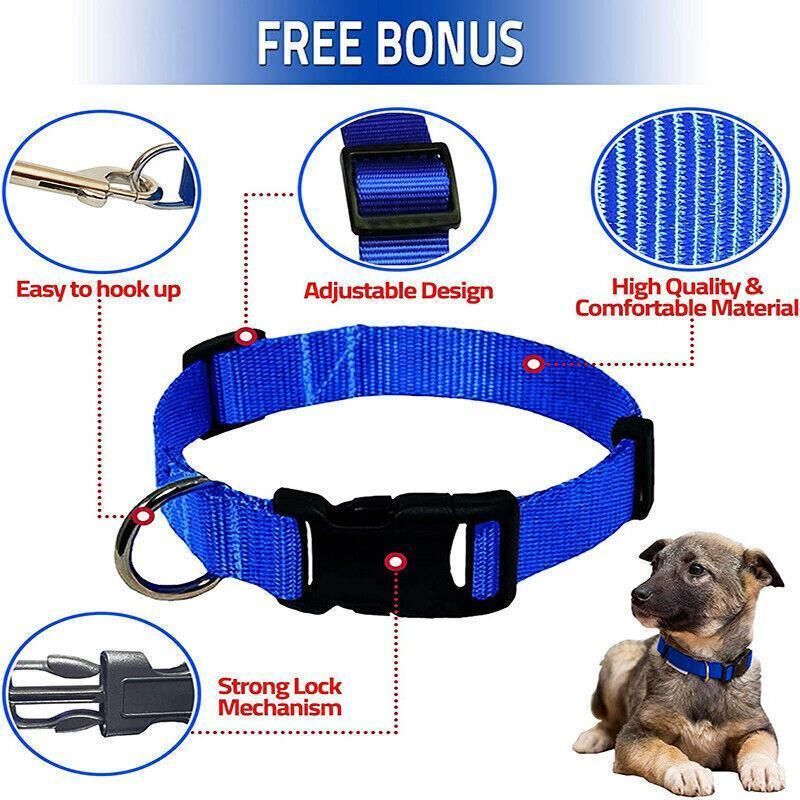 S Size Dog Puppy Pet Collar Adjustable Nylon Toy Small Pink Blue Red Black - Blue — image 5