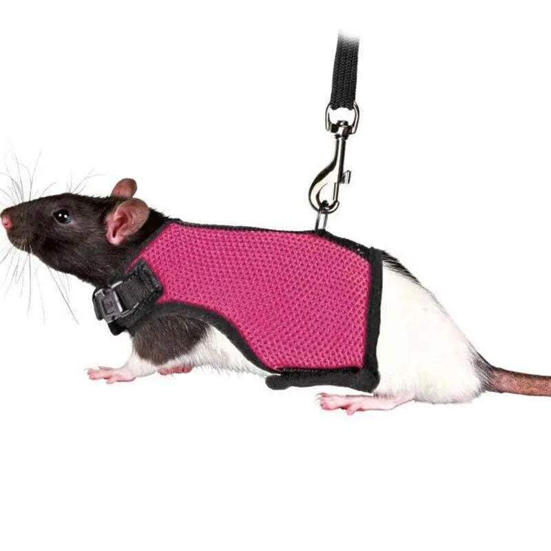 Small Animal Harness Guinea Pig Forret Hamster Rabbit Squirrel Vest Clothes Lead M Size - Blue — image 4