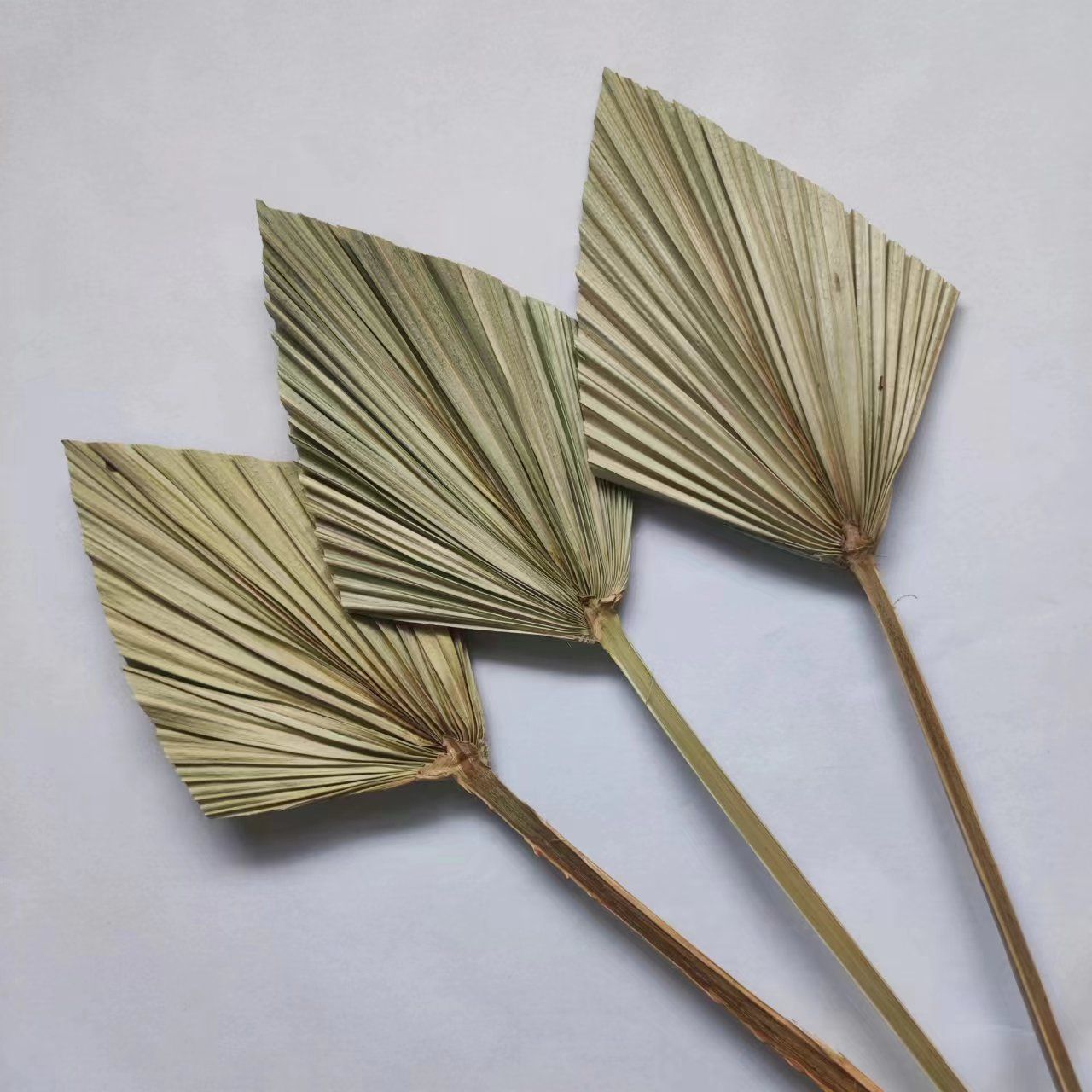 4 Pieces Natural Dried Palm Spears Small Dried Palm Fans for Flower Bouquet Boho Wedding Home Party Kitchen Vase Farmhouse — image 3