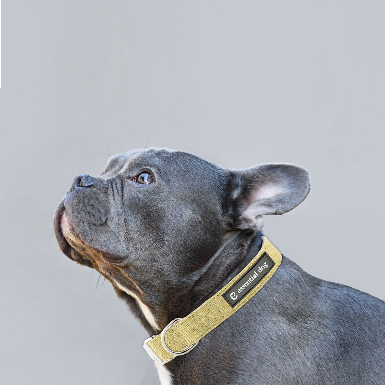 Natural Hemp & Cotton Dog Collar (Grass Green) โ image 2