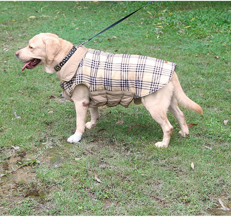 Reversible Winter Dog Coat with Plaid and Quilted Sides, Warm Cotton-Filled Vest for Outdoor Walks, Adjustable Velcro Straps for a Secure Fit (M, Red) — image 6