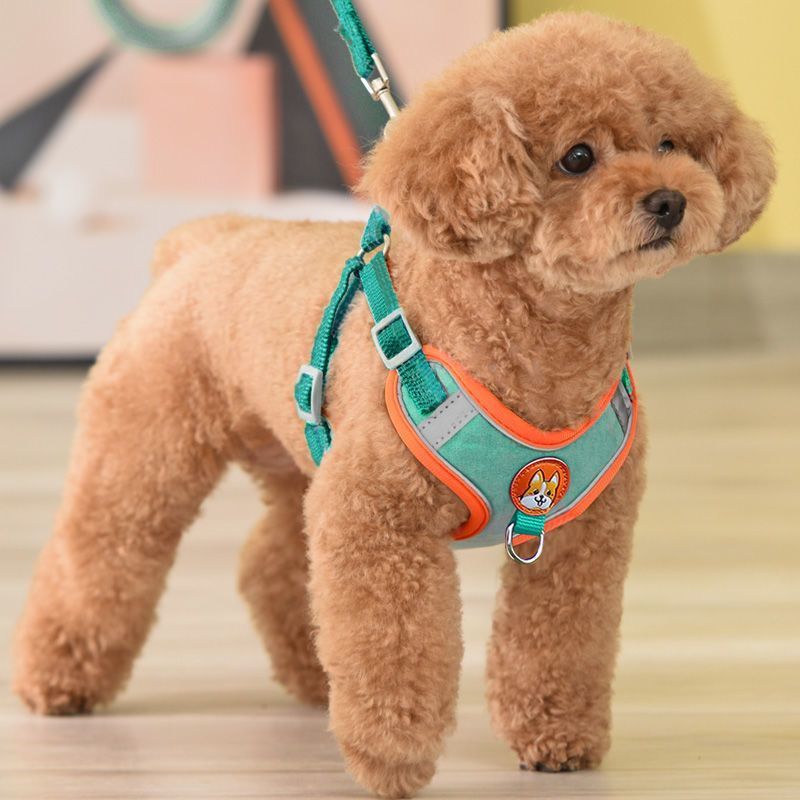 Dog Harness Reflective Leash Small Medium Dogs Blue [chest and back] + flat rope M (recommended 10-15kg ) — image 2