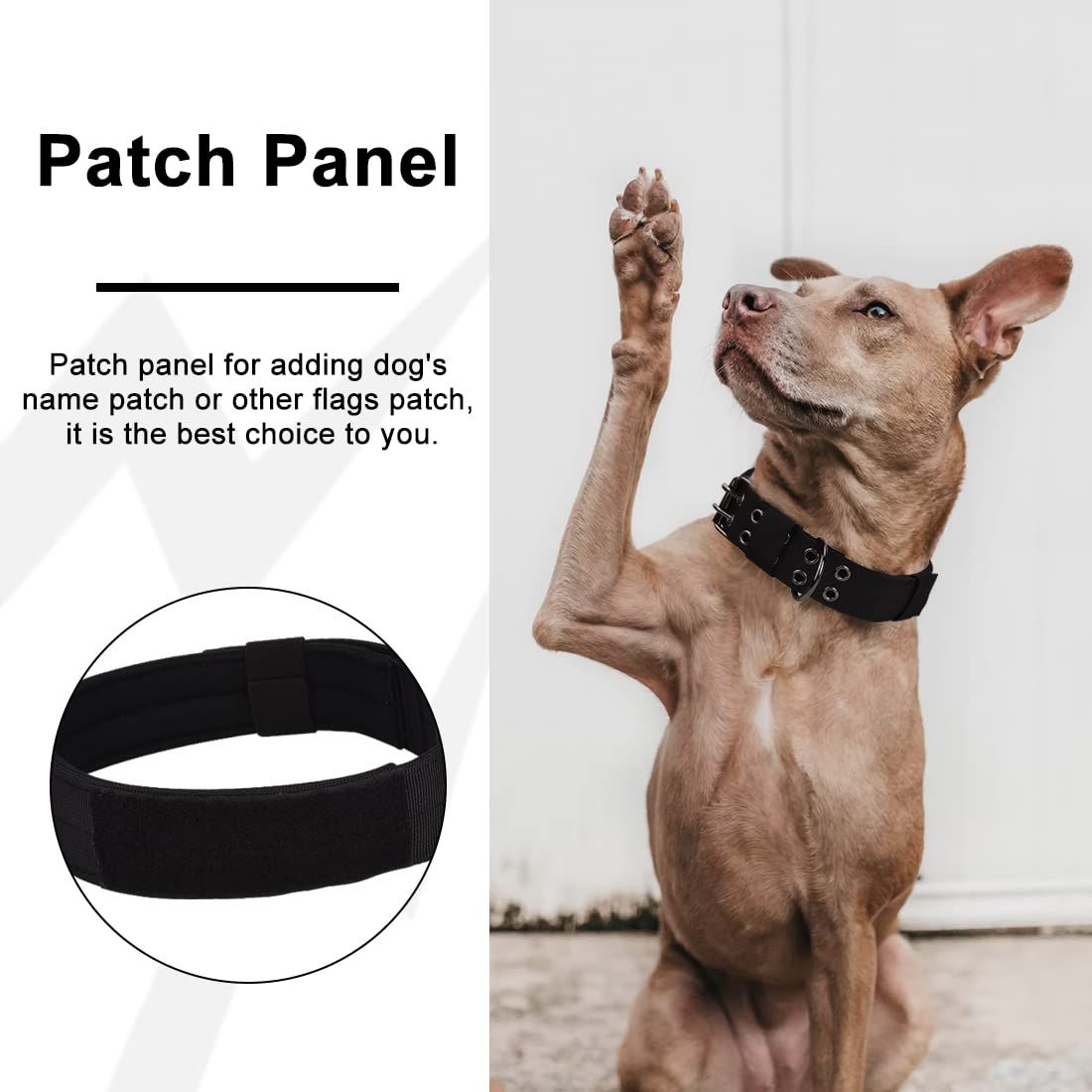 Heavy Duty Tactical Dog Collar 1.5" Width Military Nylon Dog Collar with Adjustable Metal D Ring & Thick Lining (Black, Large) — image 4