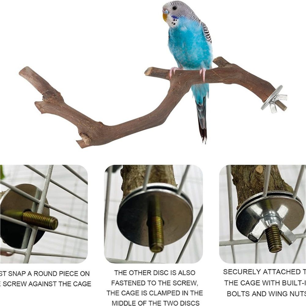 5PCS Bird Perch Stand Natural Wooden Parrot Stand Branch,3 Grape Wood Perch,2 Stand,Paw Grinding Fork Parakeet Chewing Stick Exercise Training (25cm) — image 4