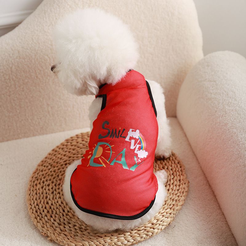 Pet Mesh Vest Polyester Trendy Cartoon Style Mesh vest-rainbow XXL