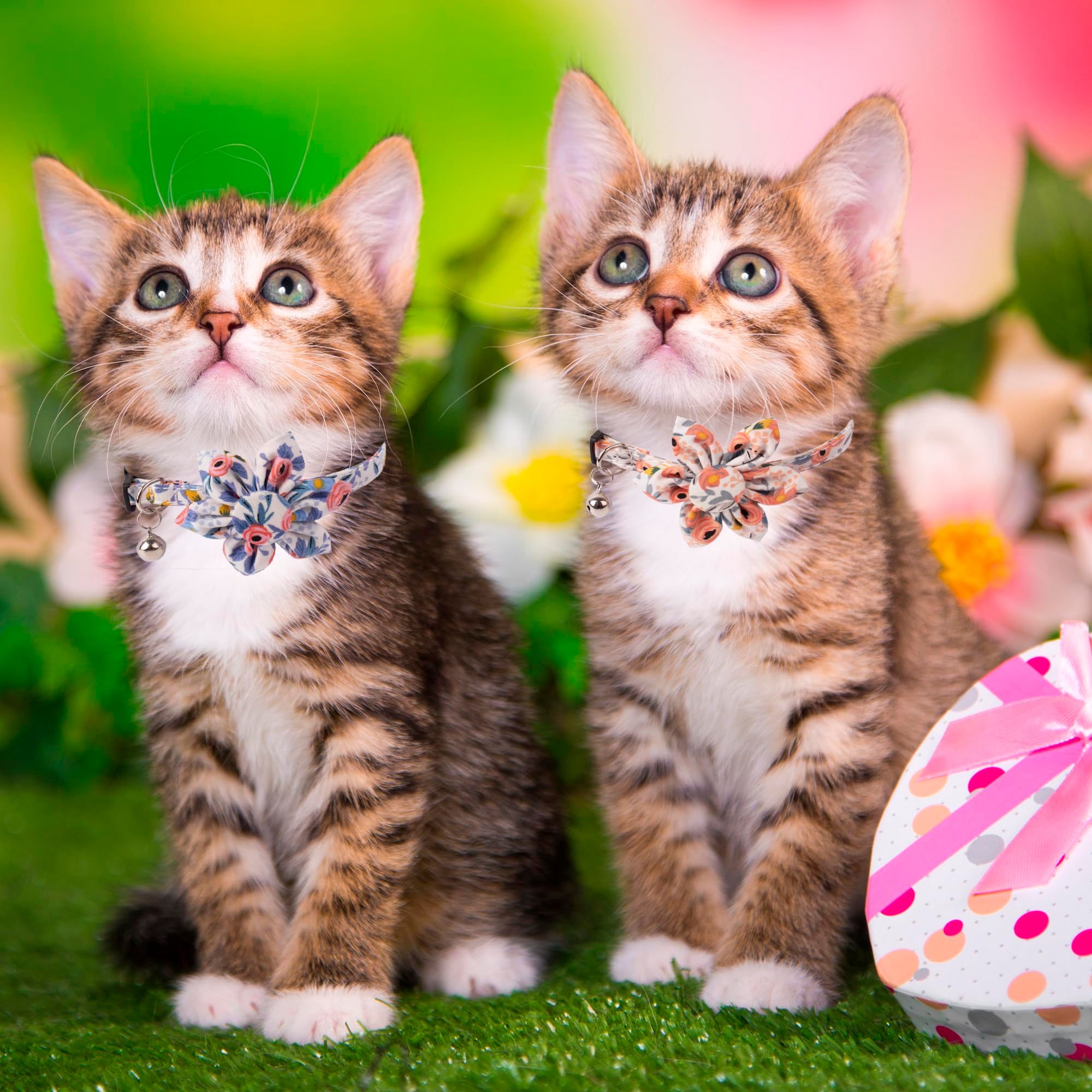 Breakaway Cat Collar with Bells, 2 Pack Flower Cat Collars for Girl Cat Kitten Collar with Floral Adjustable (Orange & Blue) — image 2