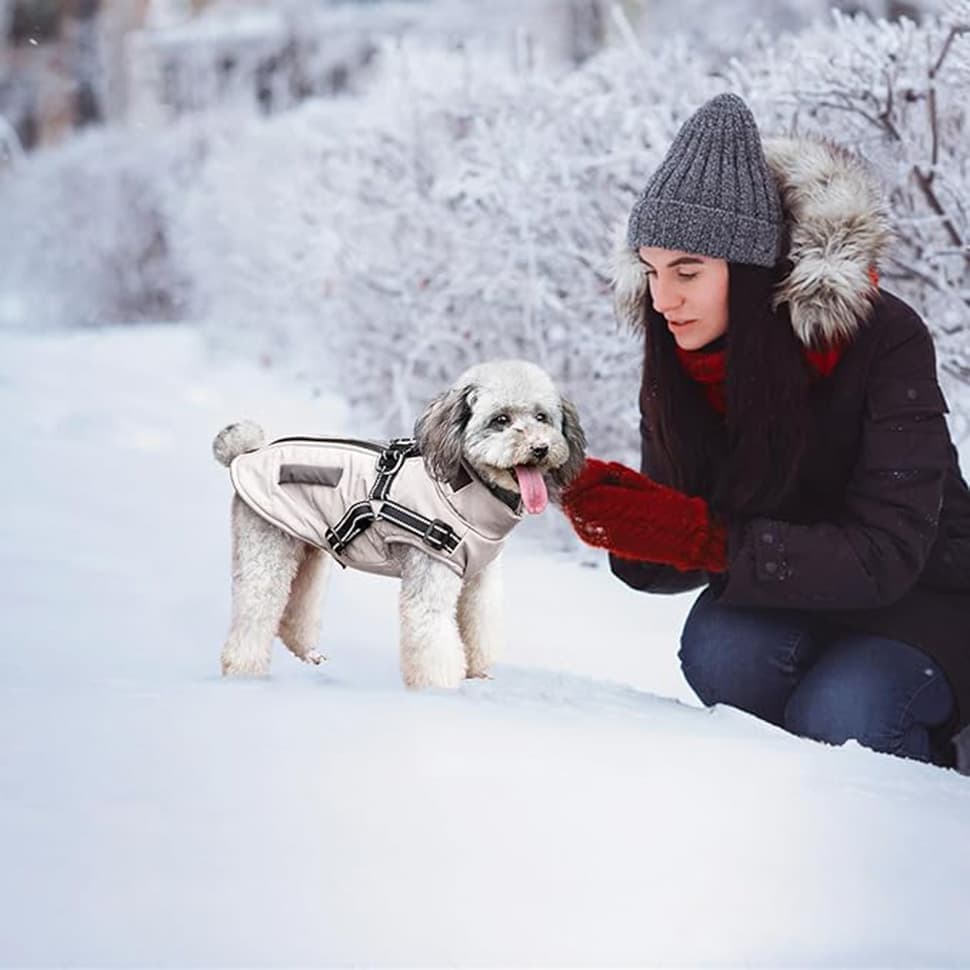 Warm Soft Winter Dog Vest Jacket with Stand Collar, Windproof Waterproof, Multiple Colors, Sizes S to XL XXL, Beige — image 4