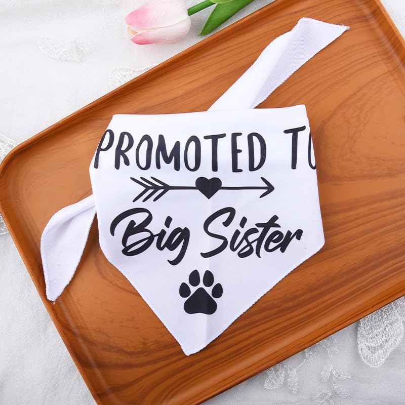 Promoted to Be Big Sister Dog Bandana Baby Announcement Pet Bandanas for Dogs Scarf for Small Medium Large Dogs Baby Gender Reveal Photo Prop Pet Scarf — image 5