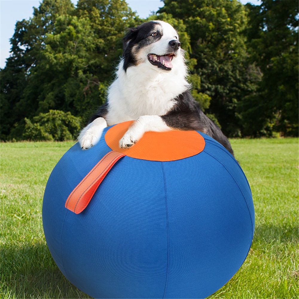 Herding Ball for Dogs, 18" Large Ball Interactive Dog Toys for Medium & Large Dogs, Complete Set Dog Ball with Hand Pump, Horse Ball for Playing, Pet Ball Toy โ image 2