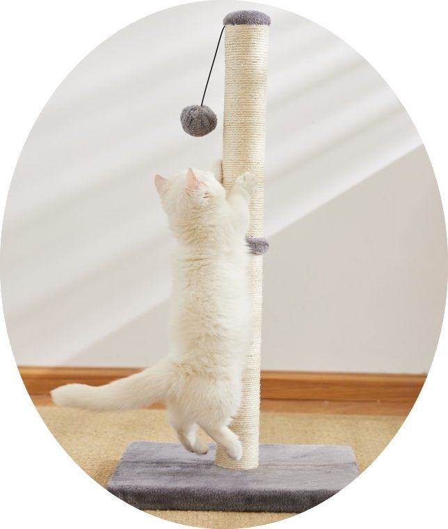 Cat Scratching Post Tree, MultiColor — image 6