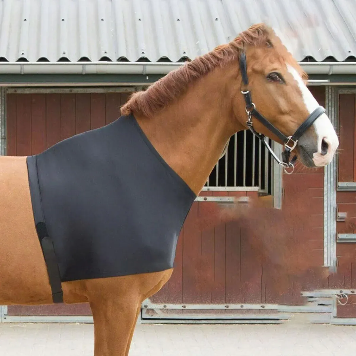 Horse Fly Repellent Vest Back Heart Shape Mesh Cover Breathable Anti Mosquito β image 6