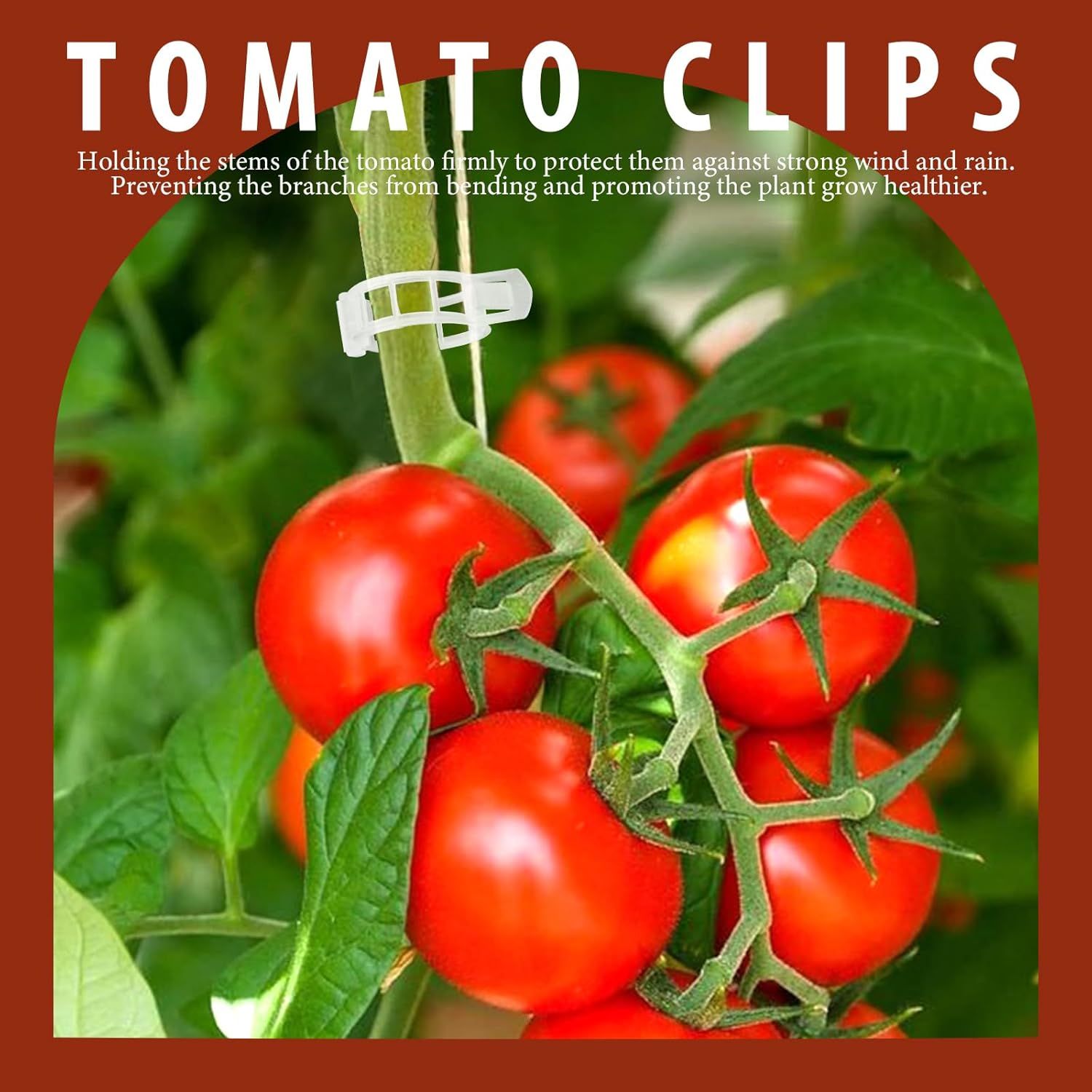300 PCS Plant Support Clips, Plastic Garden Plant Ties, Tomato Clips Trellis or Tomato Cucumber lower Squash Vine, 1” Inner Diameter or Climbing Plants — image 2