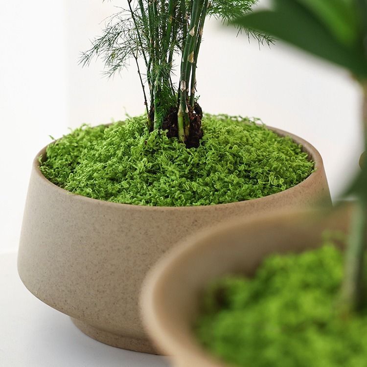 50g Dark Green Artificial Moss — image 2