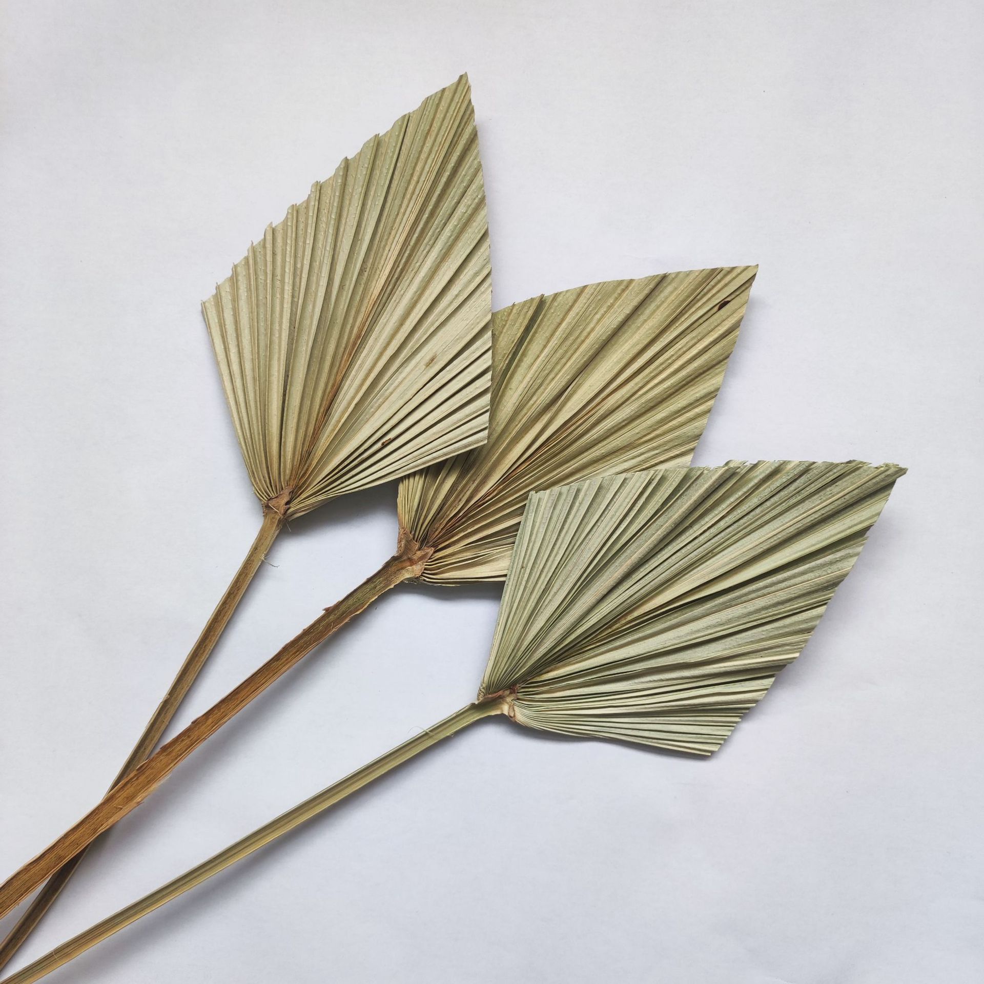 4 Pieces Natural Dried Palm Spears Small Dried Palm Fans for Flower Bouquet Boho Wedding Home Party Kitchen Vase Farmhouse — image 2