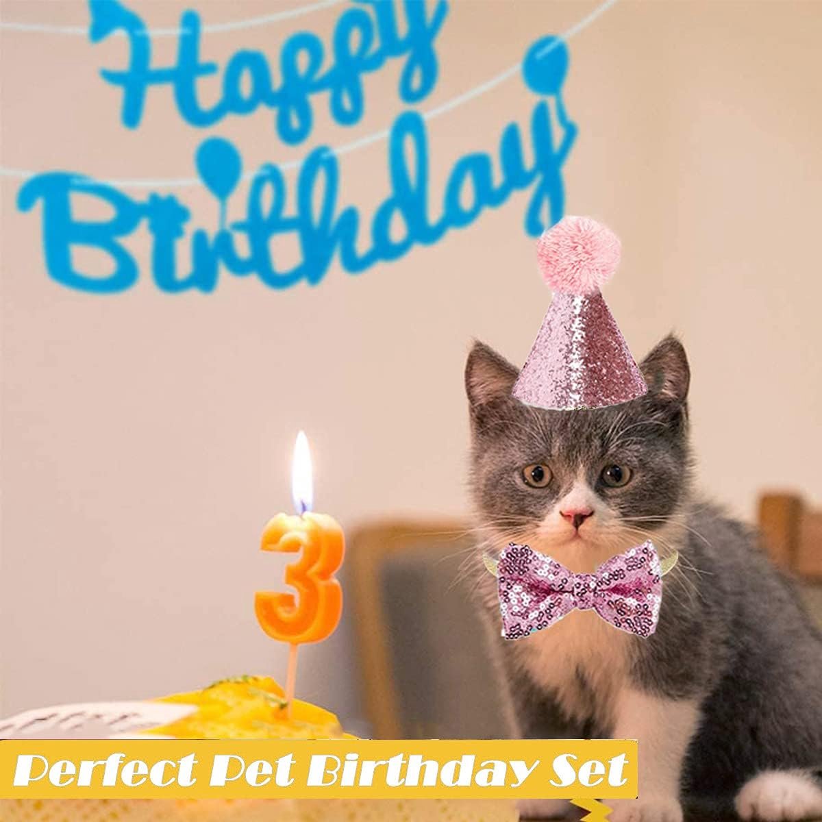 Birthday hats for dogs/cats - Party hat set for dogs - Includes bow tie and blue number - Suitable as decoration for a puppy or kitten - Clothing, headwear and — image 2