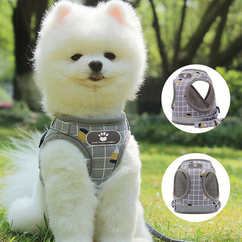 Grey Kitten Dog Cat Walking Harness Lead Leash Collar Pet Vest Mesh Adjustable - M — image 4