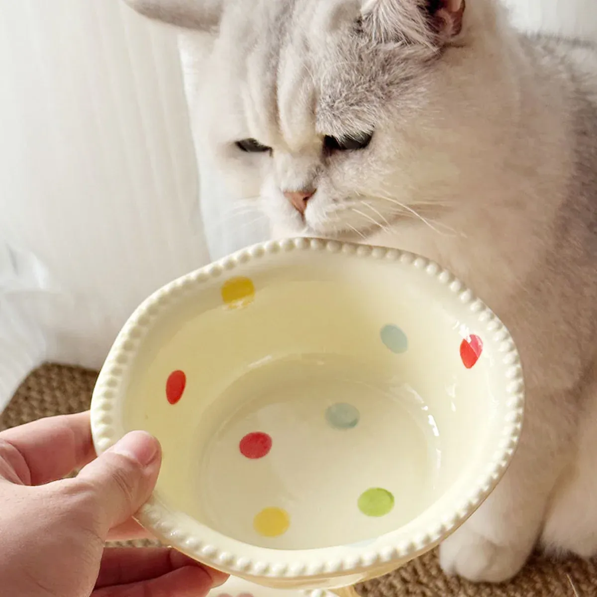 Ceramic Pet Food Bowl with Wooden Base Non Slip for Cats Small Dogs Easy Clean — image 4