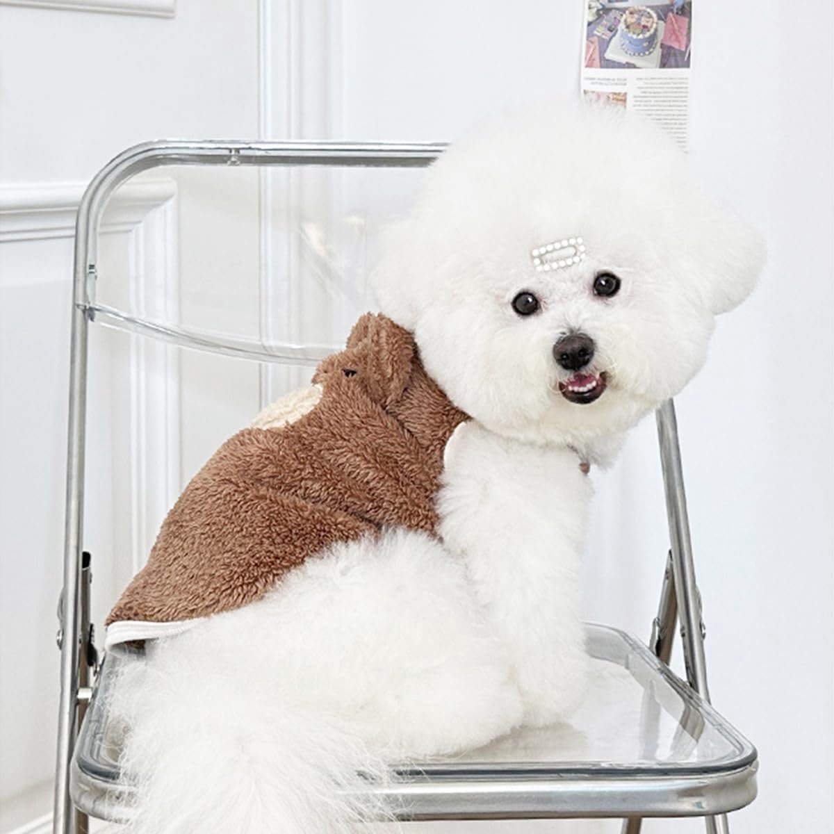 Dog Sweater - Dog Coat - Warm Winter Sweater - Warm Dog Coat - Teddy Bear - Plush Coat - Warm Clothes - Perfect for Small Dogs - Medium Dogs - Dog - Coffee — image 4