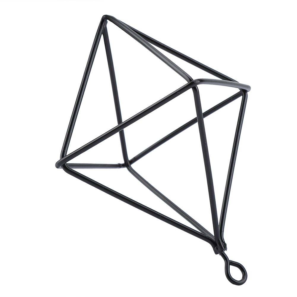 Geometric Air Pants Holder Fashionable Flowers Bromeliads Hanging Rack Home Decor Black โ image 4