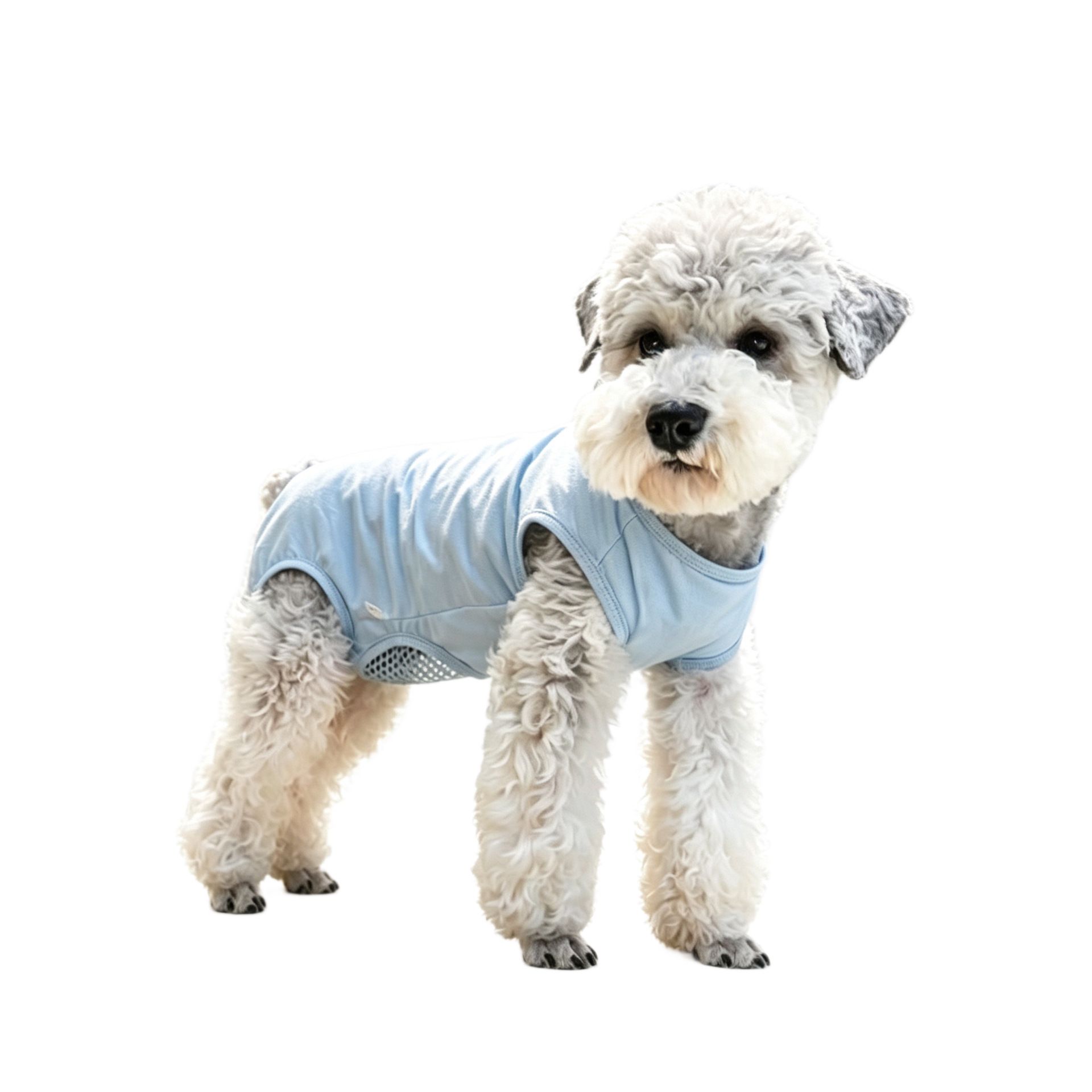 Dog Breathable Coverall Nylon Pet Clothing — image 6
