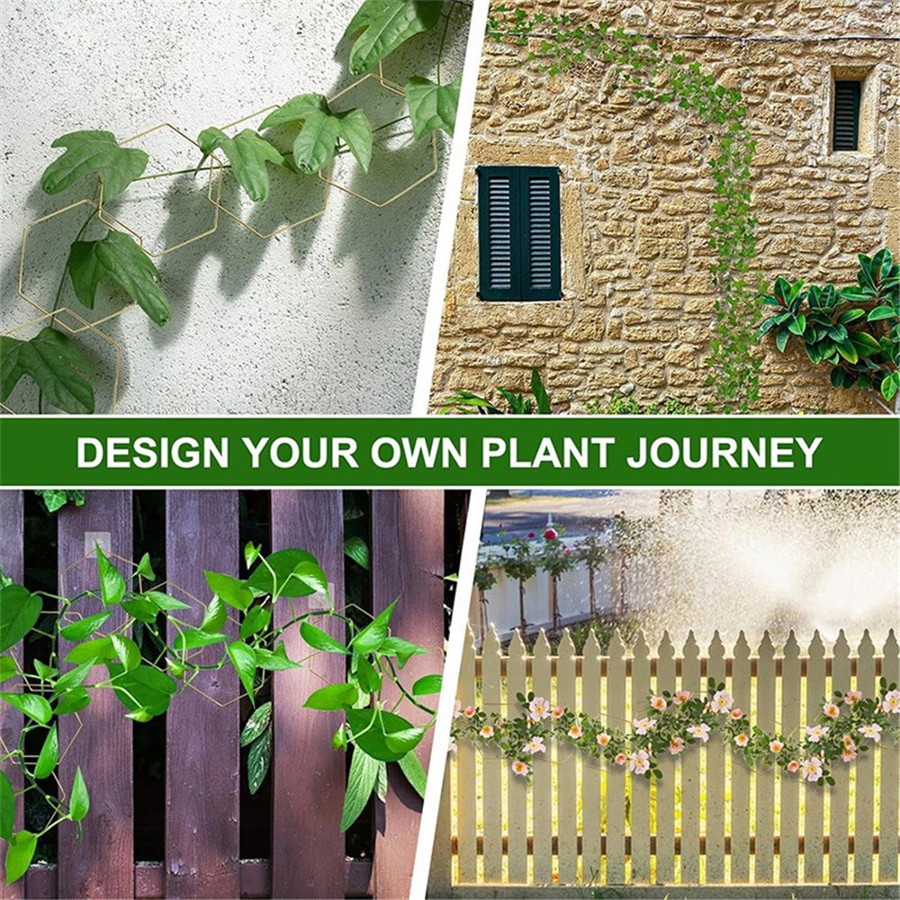 Chain Trellis for Climbing Plants - Indoor & Outdoor House Plant Accessories More | Garden Wall Trellis and Plant Vine Support - Houseplant Accessories and — image 5