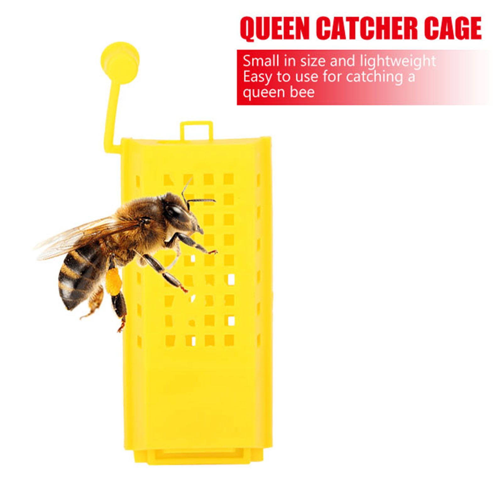 10Pcs Plastic Queen Bee Cages Transporting Catcher Beekeeper Beekeeping Tool — image 3