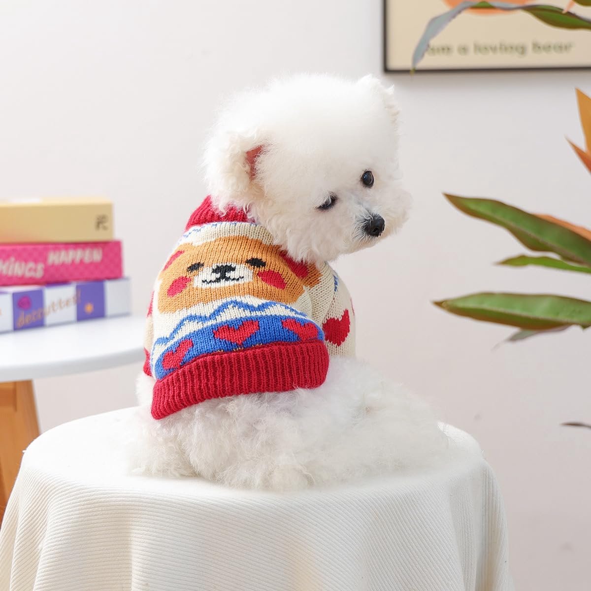 Dog Coat - Dog Sweater - Warm Winter Dog Clothes - Knit Sweater - Dog Pullover - Lightweight and Warm Cat Sweater - Perfect for Chihuahuas - Birthday Clothes — image 2