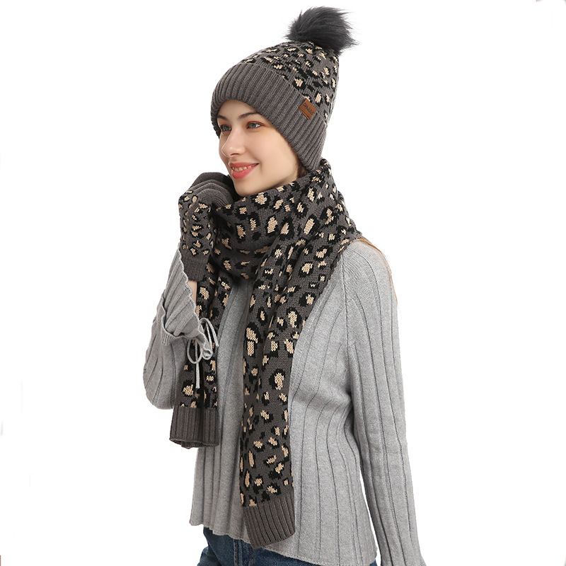 Dark Grey Women's 3-Piece Winter Knit Set - Leopard Print Plush Lined Beanie Hat, Scarf & Touchscreen Gloves — image 2