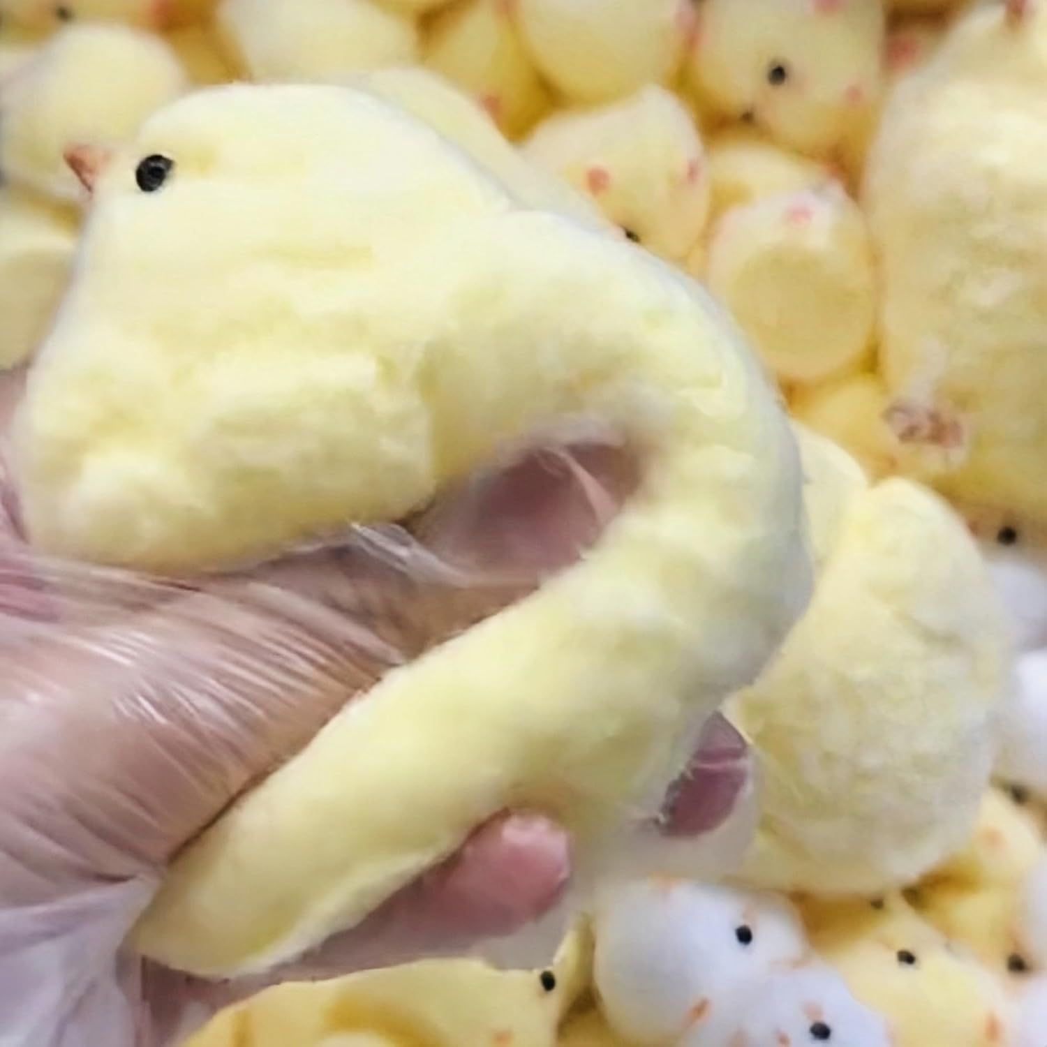 Handmade Chick Squeeze Toys Ultra Soft Squishy Fidget Toys Silicone Squishies Toys for Stress Relief ( Chicken ) (1pcs) — image 4